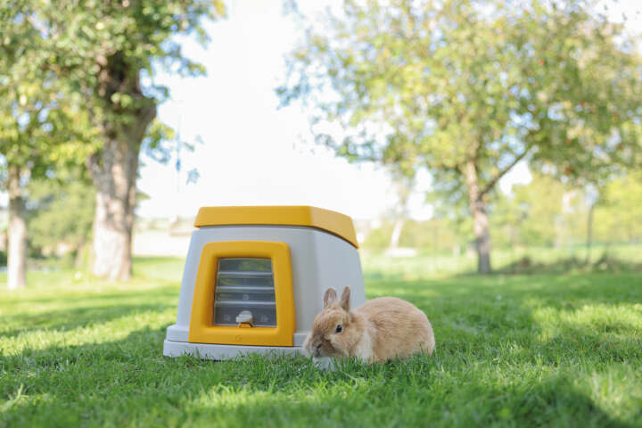 KERBL Kaninchenbau Bunny Base Komplettset